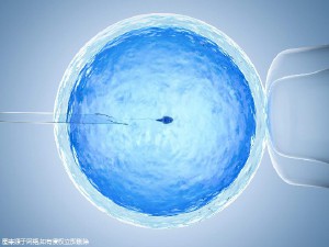 关于丹韵生殖